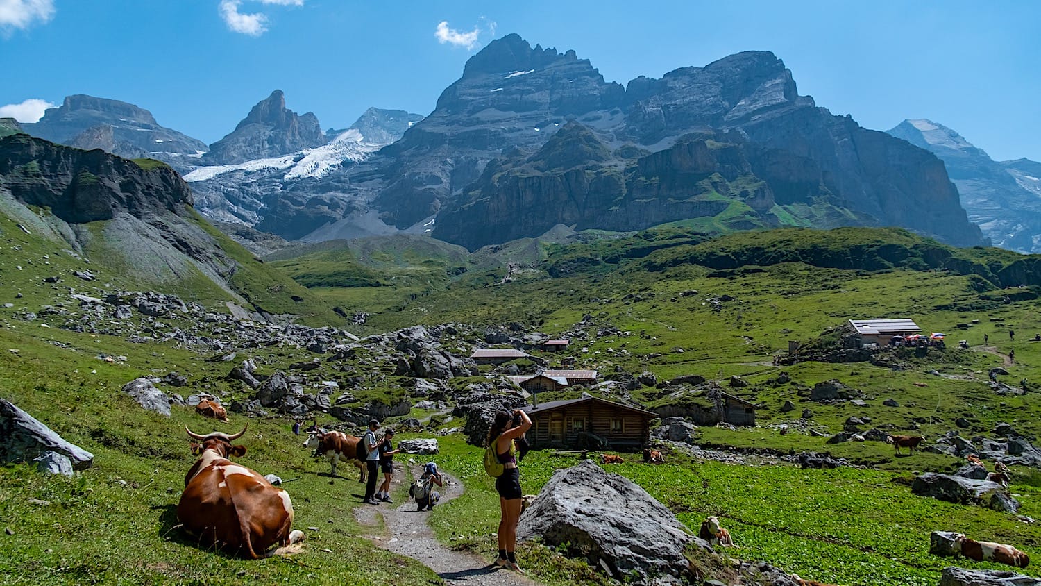 Closer view from the huts, with cows laying on the meadows and mountains on the distance