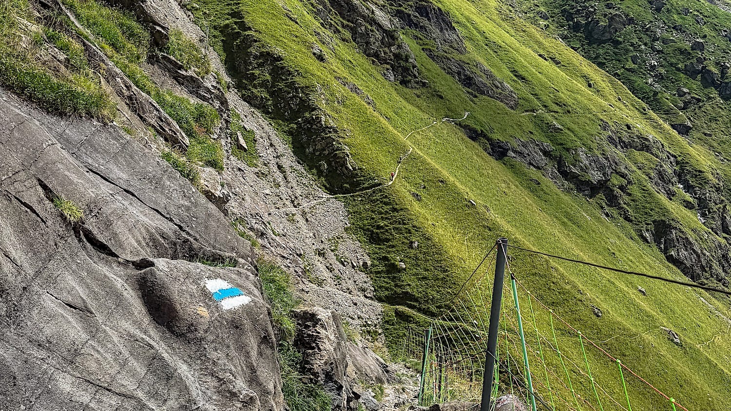 Steep grassy slope with a blue-and-white alpine trail marking on the rock