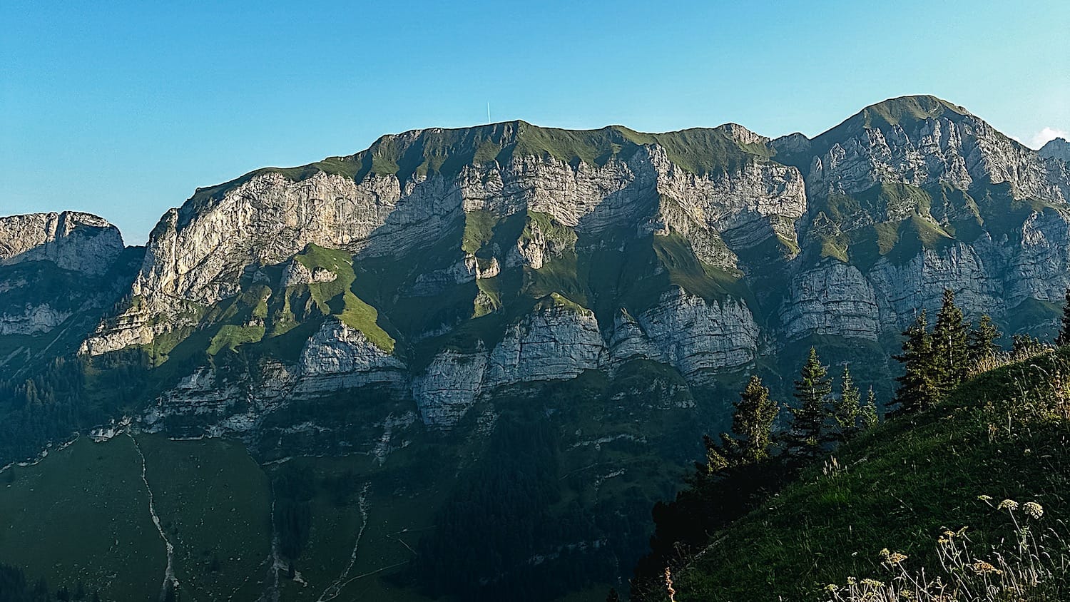 Sunlit limestone cliffs of the Alpstein massif rising above green slopes and spruce trees