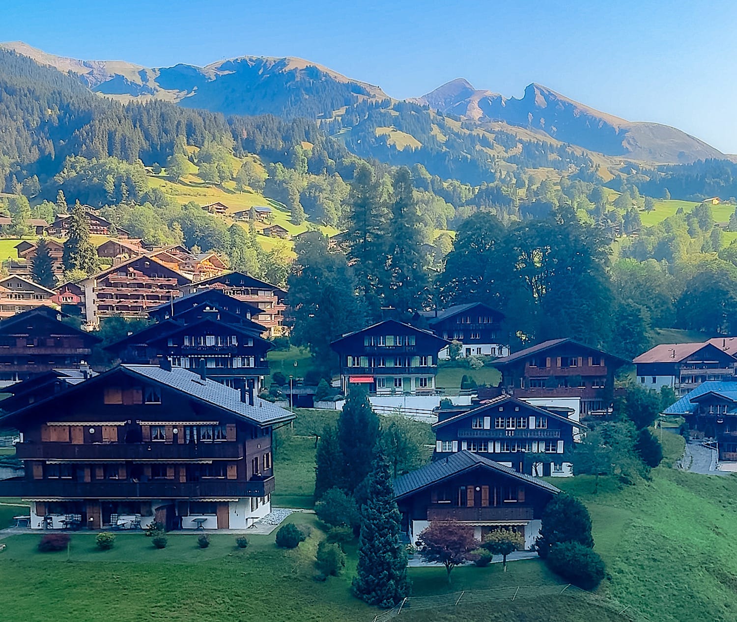 Grindelwald chalets and forested slopes seen from the Pfingstegg gondola