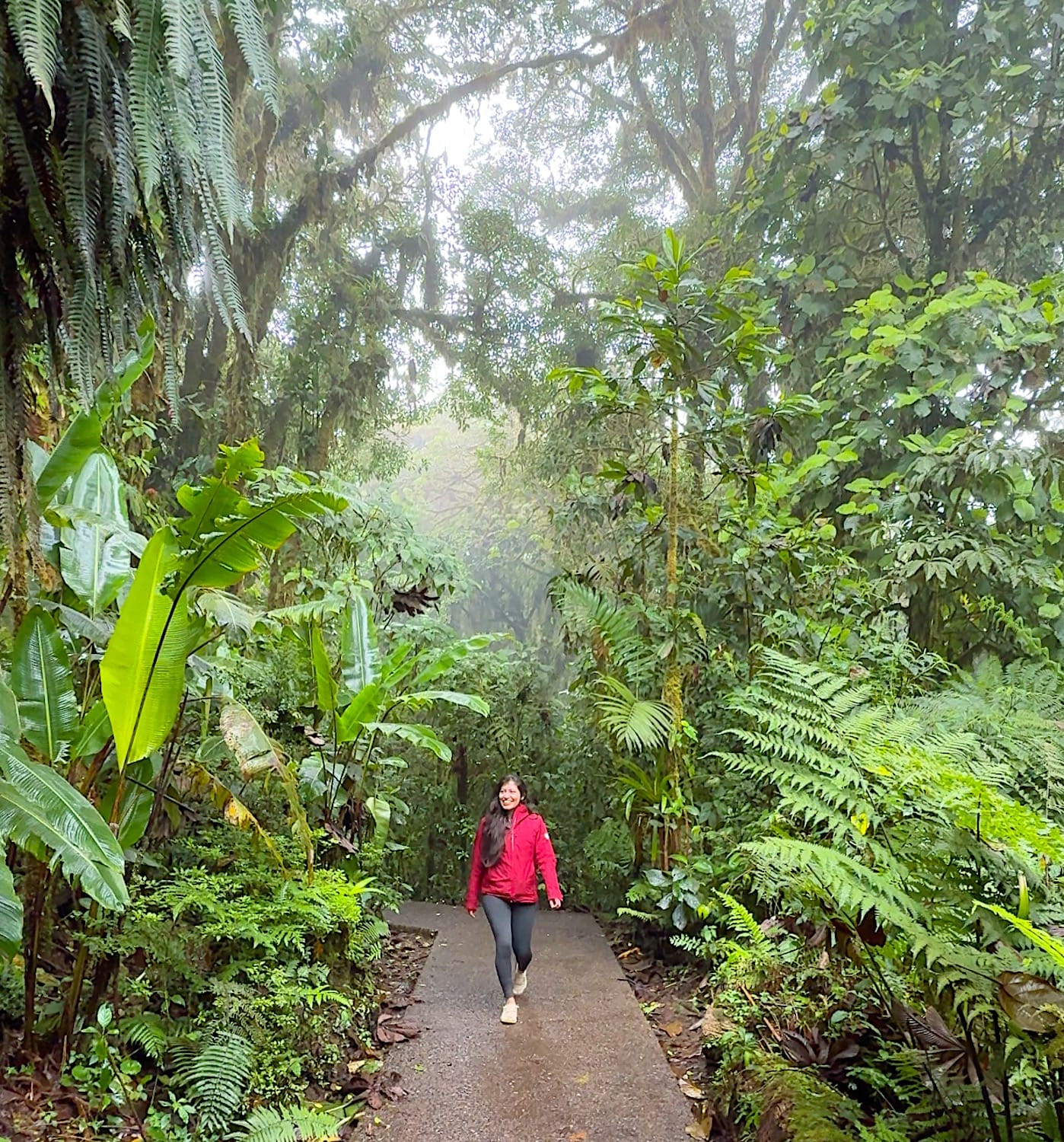 Hiker in a red jacket on a paved path through misty cloud forest at Santa Elena Cloud Forest Reserve