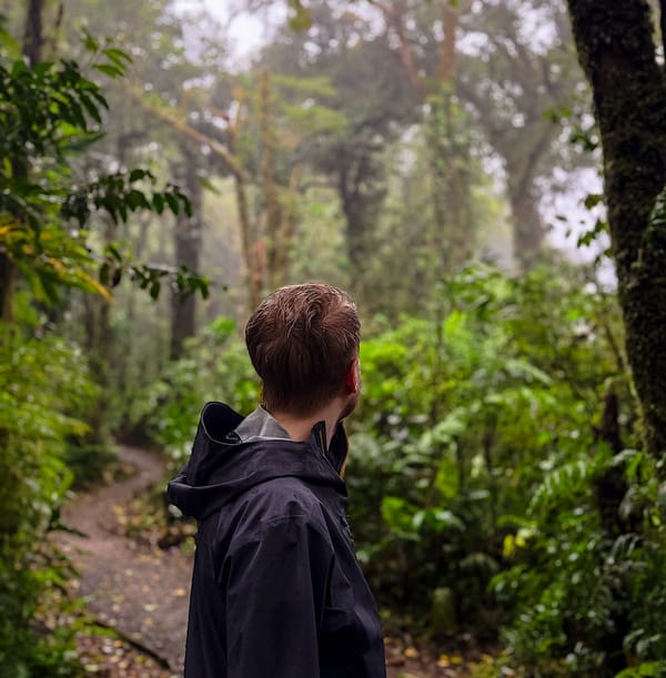 Which Cloud Forest Reserve to Visit in Monteverde